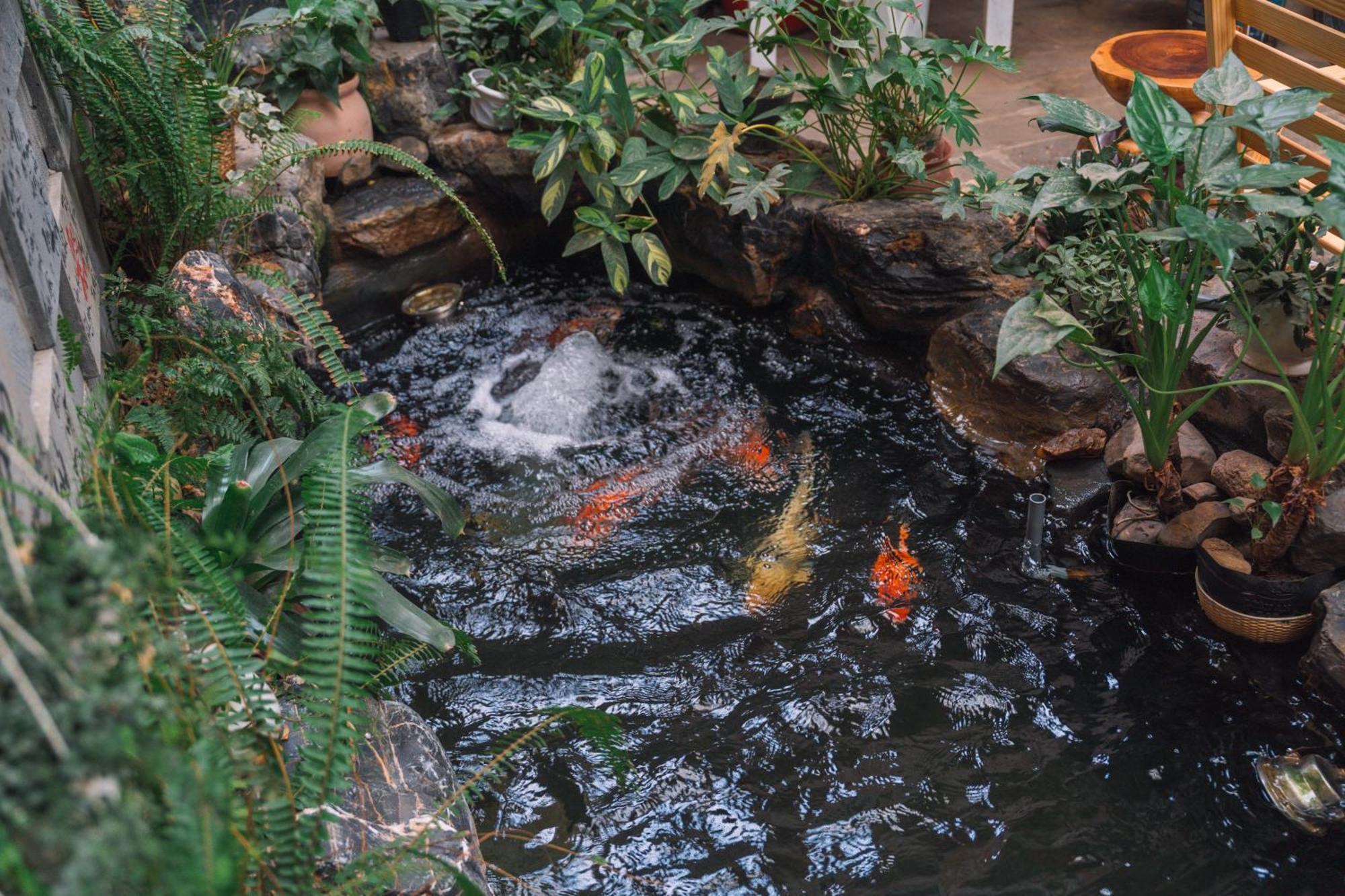 St House Dalat Hotel Ngoại thất bức ảnh
